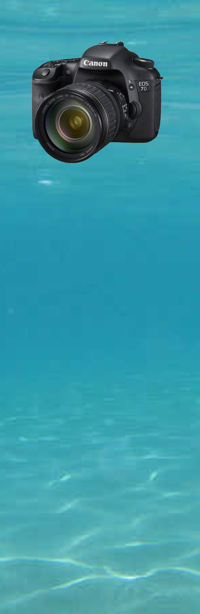 banner-foto